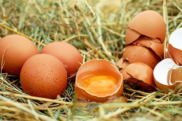 Comment ranger ses œufs avec style dans la cuisine ?
