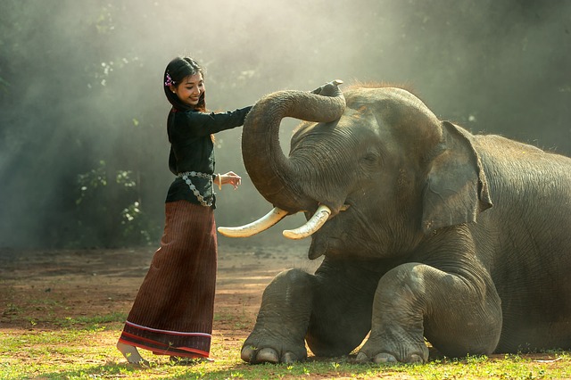 Décoration impériale : l’incroyable histoire de la statue éléphant